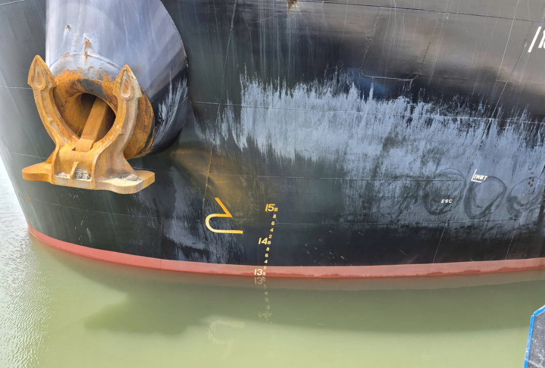 MARINE SURVEY